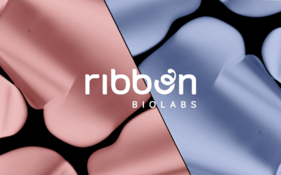 Ribbon Biolabs successfully synthesises a 10 kbp DNA molecule using their FullGenes platform